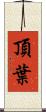 頂葉 Scroll