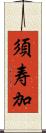 須寿加 Scroll