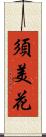 須美花 Scroll
