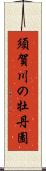 須賀川の牡丹園 Scroll