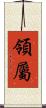 領屬 Scroll