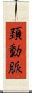 頚動脈 Scroll