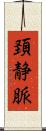 頚静脈 Scroll