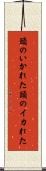頭のいかれた Scroll