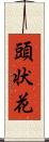 頭状花 Scroll