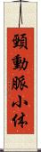 頸動脈小体 Scroll