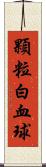 顆粒白血球 Scroll