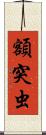 額突虫 Scroll