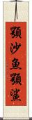 顎沙魚 Scroll