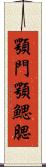 顎門 Scroll
