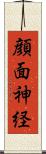 顔面神経 Scroll