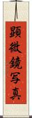 顕微鏡写真 Scroll