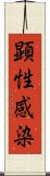 顕性感染 Scroll