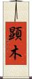 顕木 Scroll