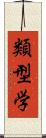 類型学 Scroll