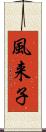 風来子 Scroll