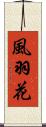 風羽花 Scroll