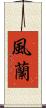 風蘭 Scroll