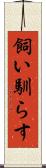 飼い馴らす Scroll
