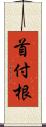 首付根 Scroll