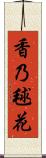 香乃毬花 Scroll