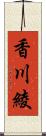 香川綾 Scroll