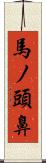馬ノ頭鼻 Scroll