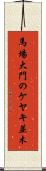 馬場大門のケヤキ並木 Scroll