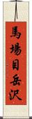 馬場目岳沢 Scroll