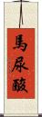 馬尿酸 Scroll