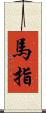 馬指 Scroll
