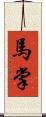 馬掌 Scroll