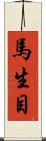 馬生目 Scroll