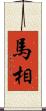 馬相 Scroll
