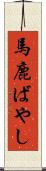 馬鹿ばやし Scroll