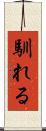 馴れる Scroll