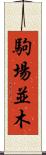 駒場並木 Scroll