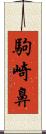 駒崎鼻 Scroll