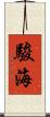 駿海 Scroll