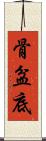 骨盆底 Scroll