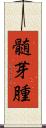 髄芽腫 Scroll