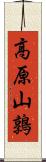 高原山鶉 Scroll