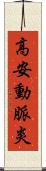 高安動脈炎 Scroll