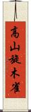 高山旋木雀 Scroll