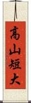 高山短大 Scroll