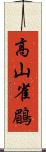 高山雀鶥 Scroll