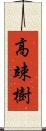 高竦樹 Scroll