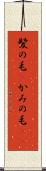 髪の毛(P) Scroll