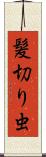 髪切り虫 Scroll