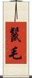 鬣毛 Scroll